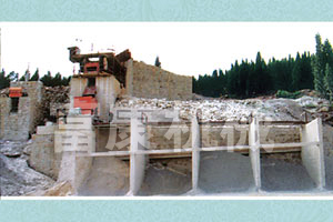 應(yīng)用案例展示